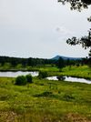 205 Golf Course Dr photo